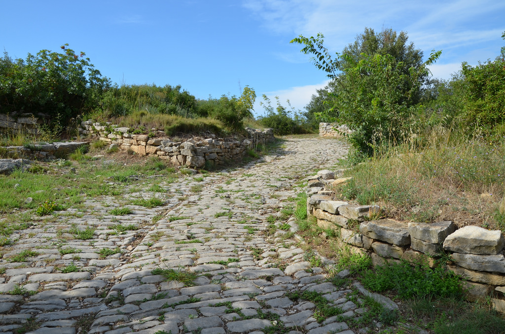 The main artery of the settlement was a paved road, dug out from deep ruts. Buildings (houses and shops) were built all along the sides of the road.