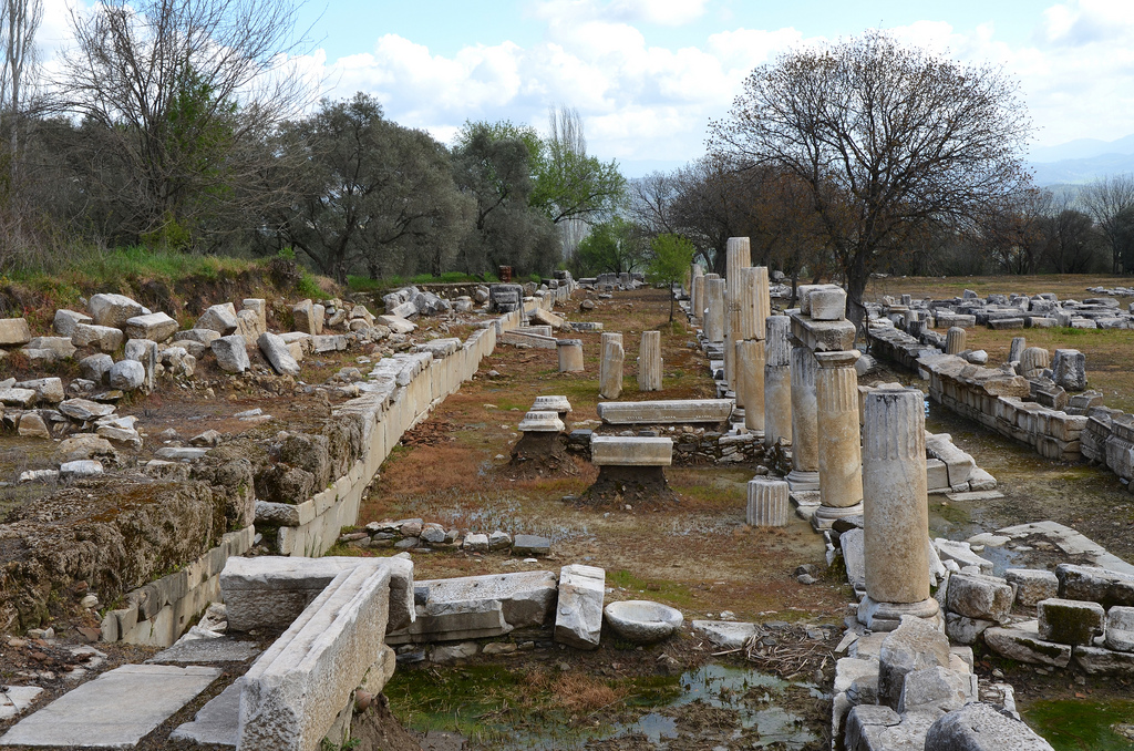 The precinct surrounding the temple was ca. 150 by 135 m. It was enclosed by a stoa in the Doric order, the S side of which was raised on a flight of 11 steps, with a staircase at the W end