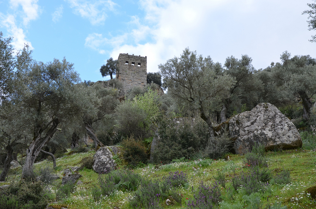 The Two-storey Hellenistic watchtower.