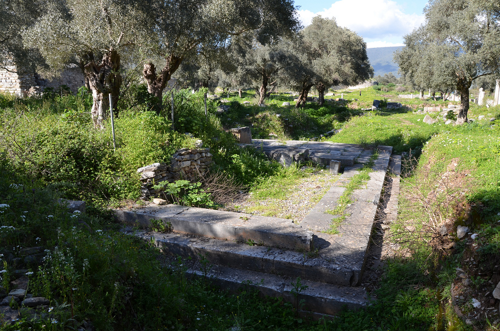 The Sanctuary of Artemis Astias.