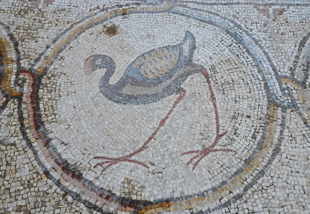 6th century AD Bird Mosaic that adorned the atrium of a large palace complex outside the city wall of Byzantine Caesarea.