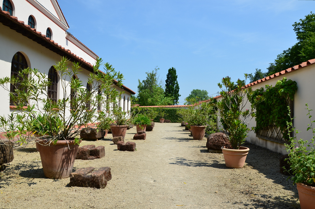 The plant garden.