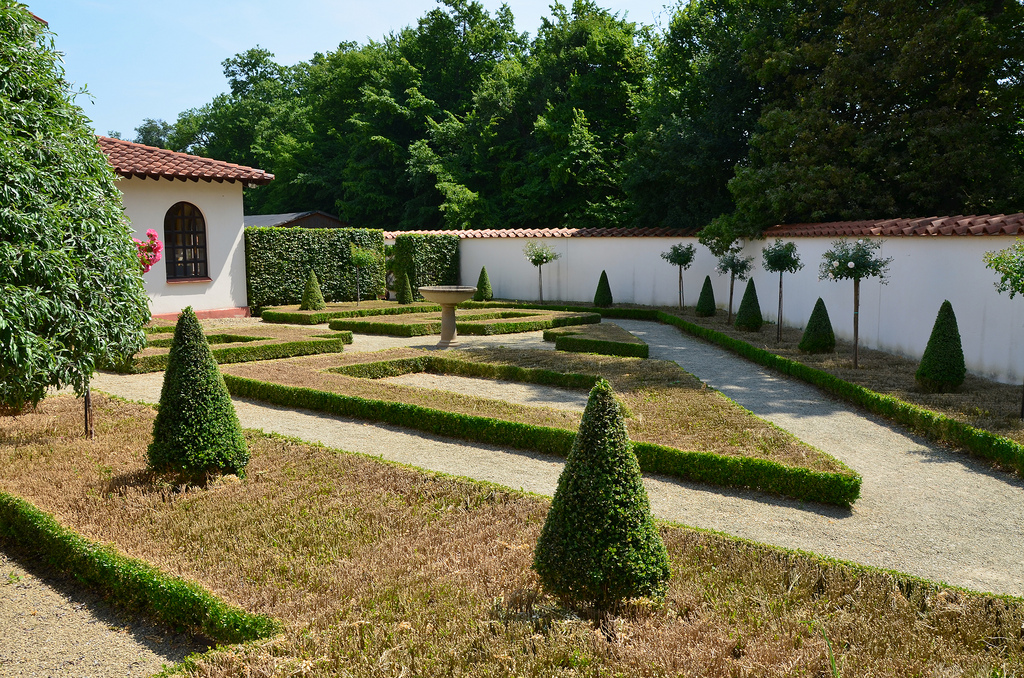 The rose garden.