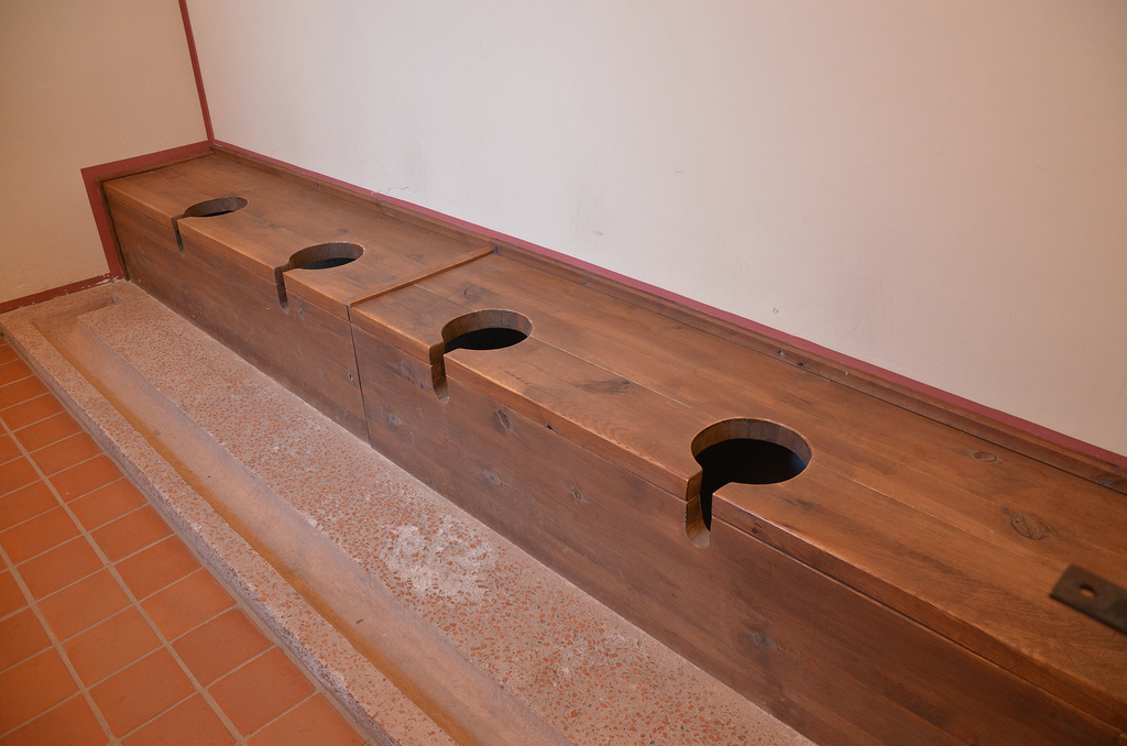 The reconstructed latrines.