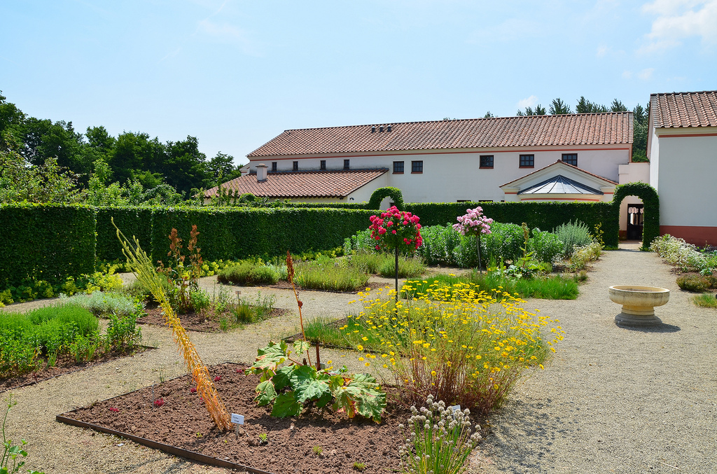 The flower garden.