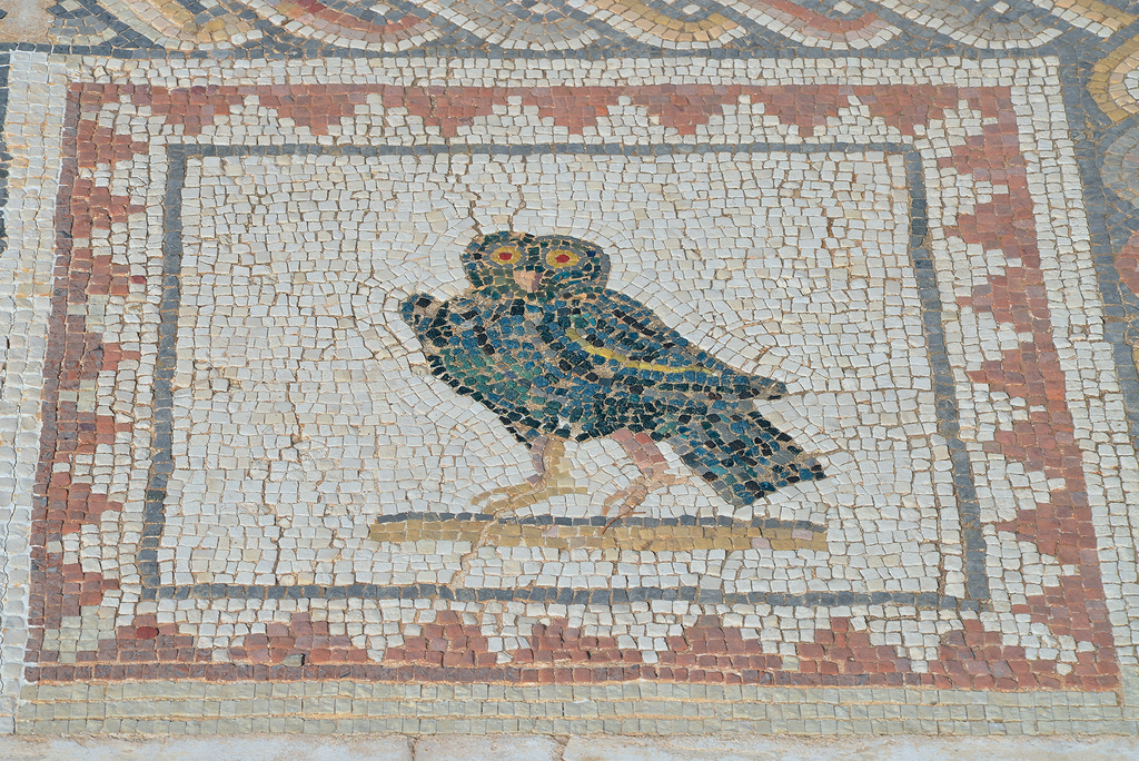 Detail of the Bird Mosaic consisting of a central panel surrounded by 35 small squares representing different species of birds.