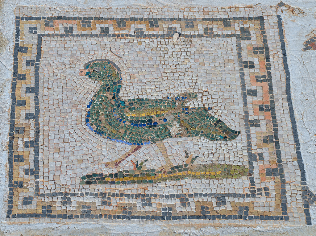 Detail of the Bird Mosaic consisting of a central panel surrounded by 35 small squares representing different species of birds.