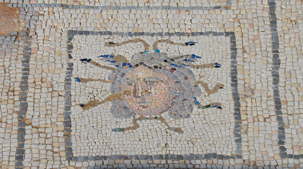 Mosaic detail with head of Medusa in the House of the Birds.
