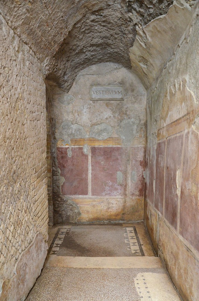 The vestibulum with imitation veneer adorning the walls.
