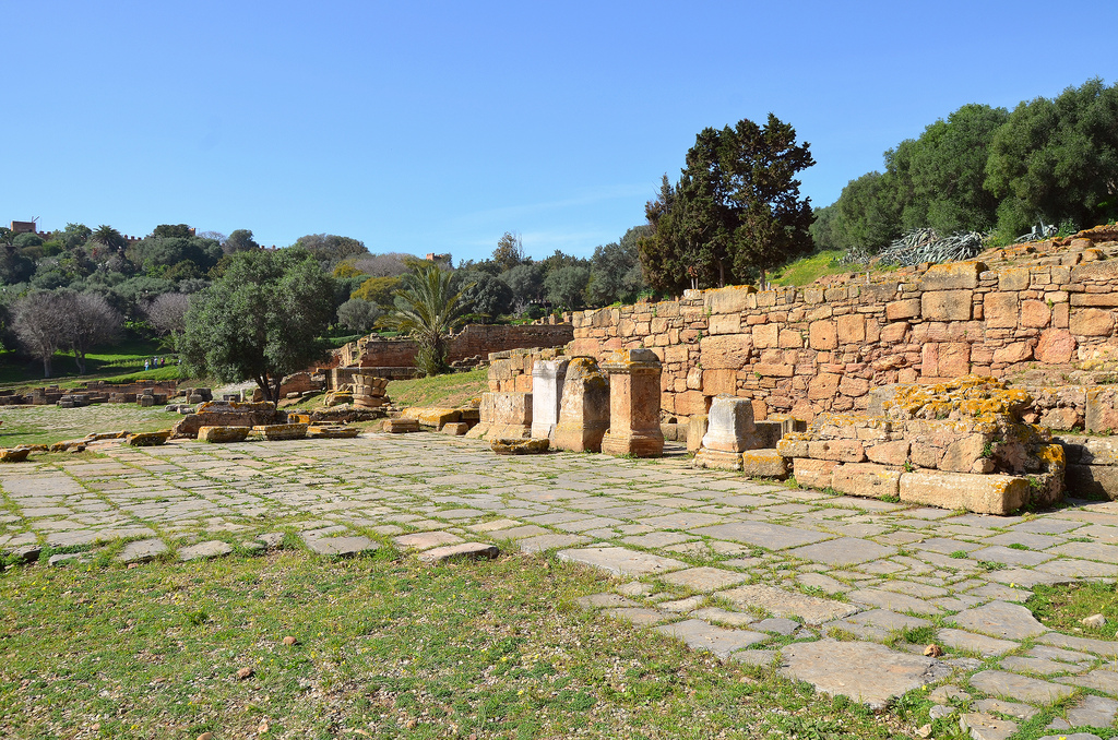 View of the Forum with bases of honorary inscriptions dedicated to the emperors and the great magistrates of the city.