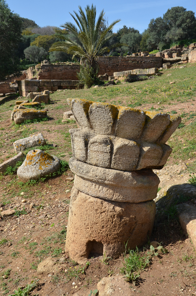 Pseudo-lotus capital outside the forum.