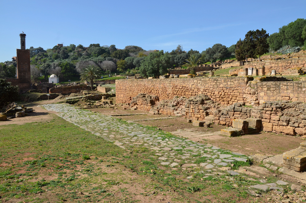 The lower level of the forum with six shops serviced by a secondary road.